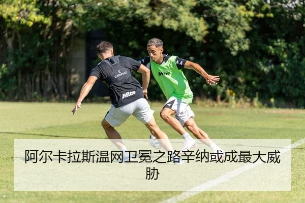 a-er-ka-la-si-wen-wang-wei-mian-zhi-lu-xin-na-huo-cheng-zui-da-wei-xie-2-337.jpg